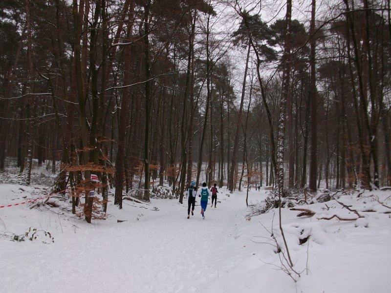 Crosslauf Bergedorf 027